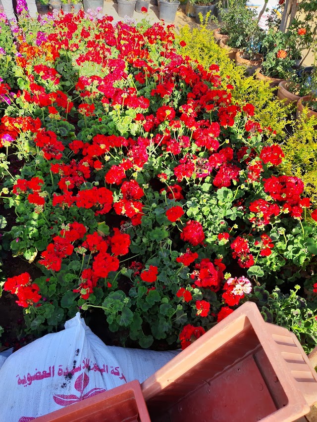 d9232e2b-c929-460e-8e41-85a285c2591a