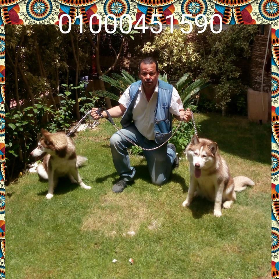 كابتن علي عباس مدرب كلاب