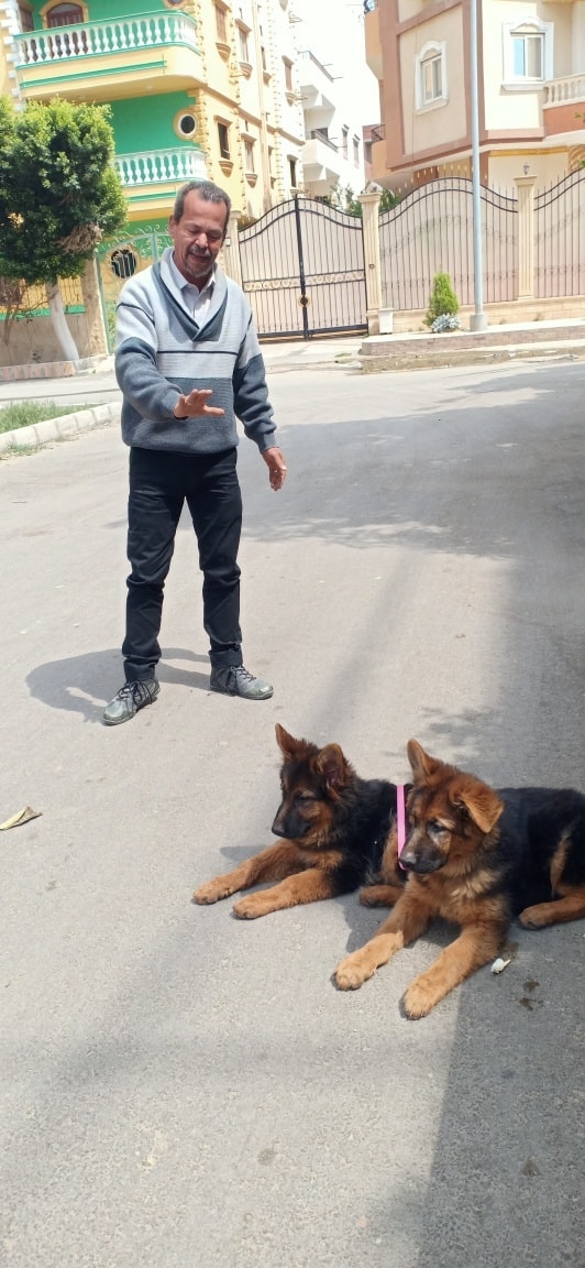 167994198_3835051866549890_331388610691662554_n