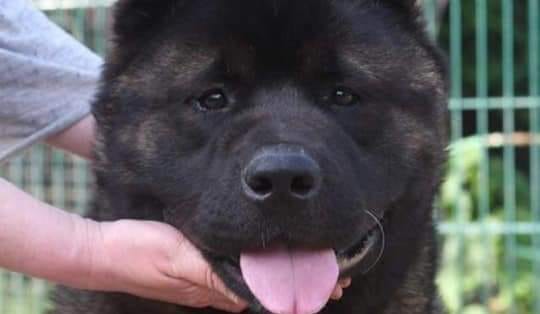 191671310_102677118697568_785379415262500422_n