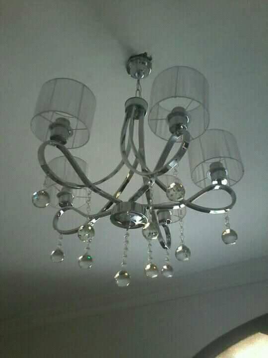 206556428_540404897391846_4407720465248421450_n