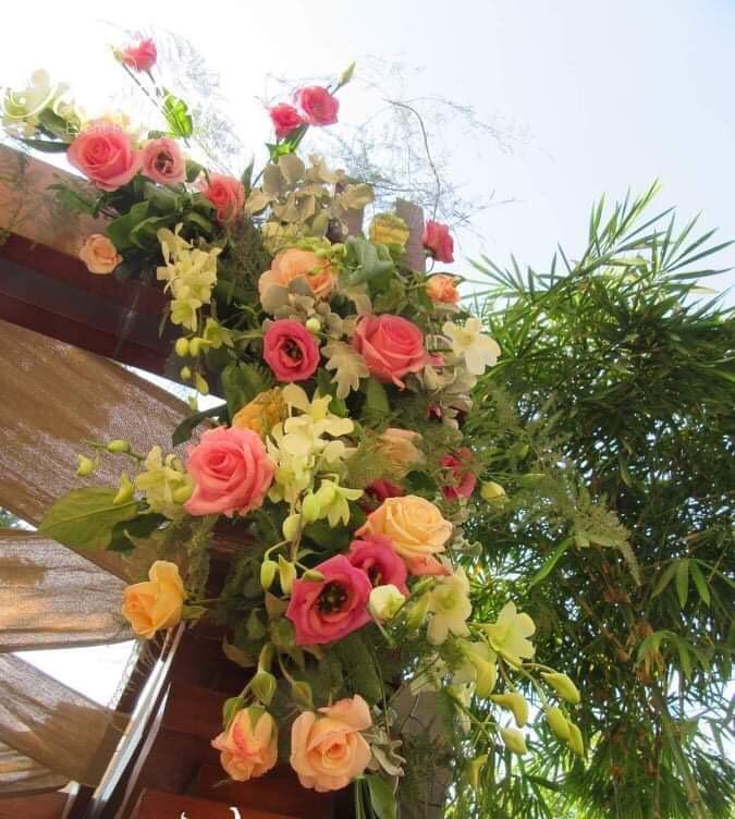 منظمة حفلات