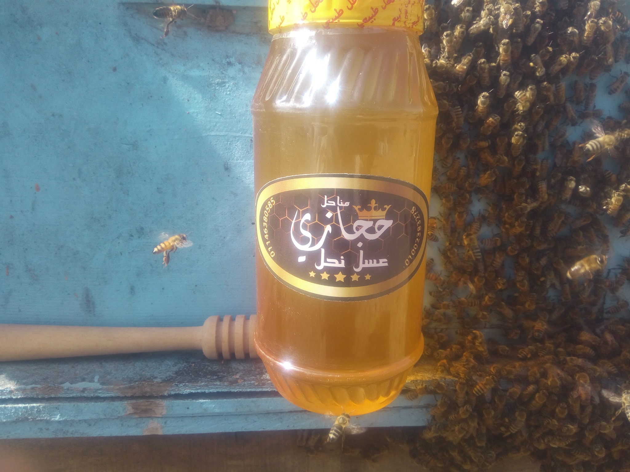 الحجازي لعسل النحل