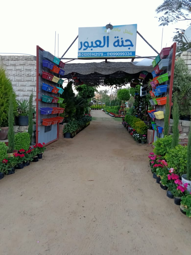 مشتل نباتات جنة العبور
