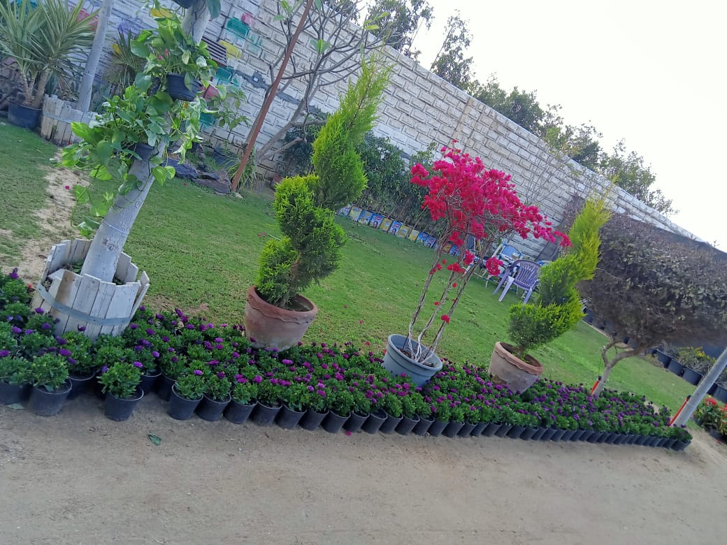 cac94c20-0c11-4dc0-9065-009eeb4abdf5