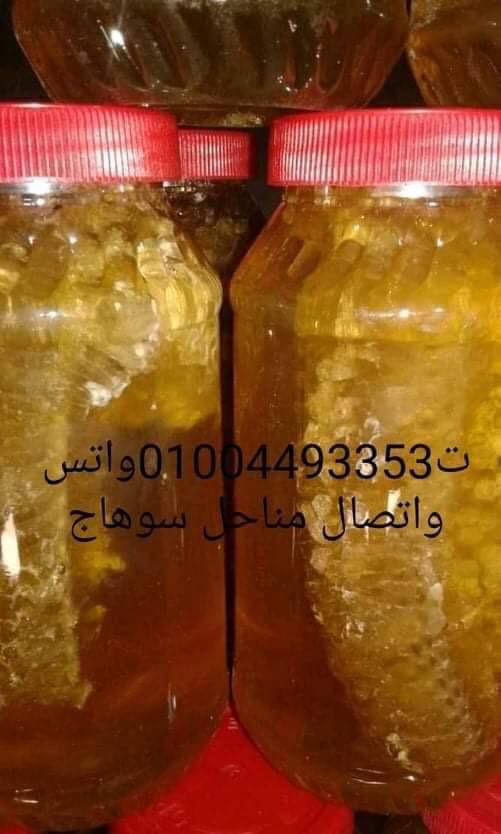 مناحل سوهاج للعسل