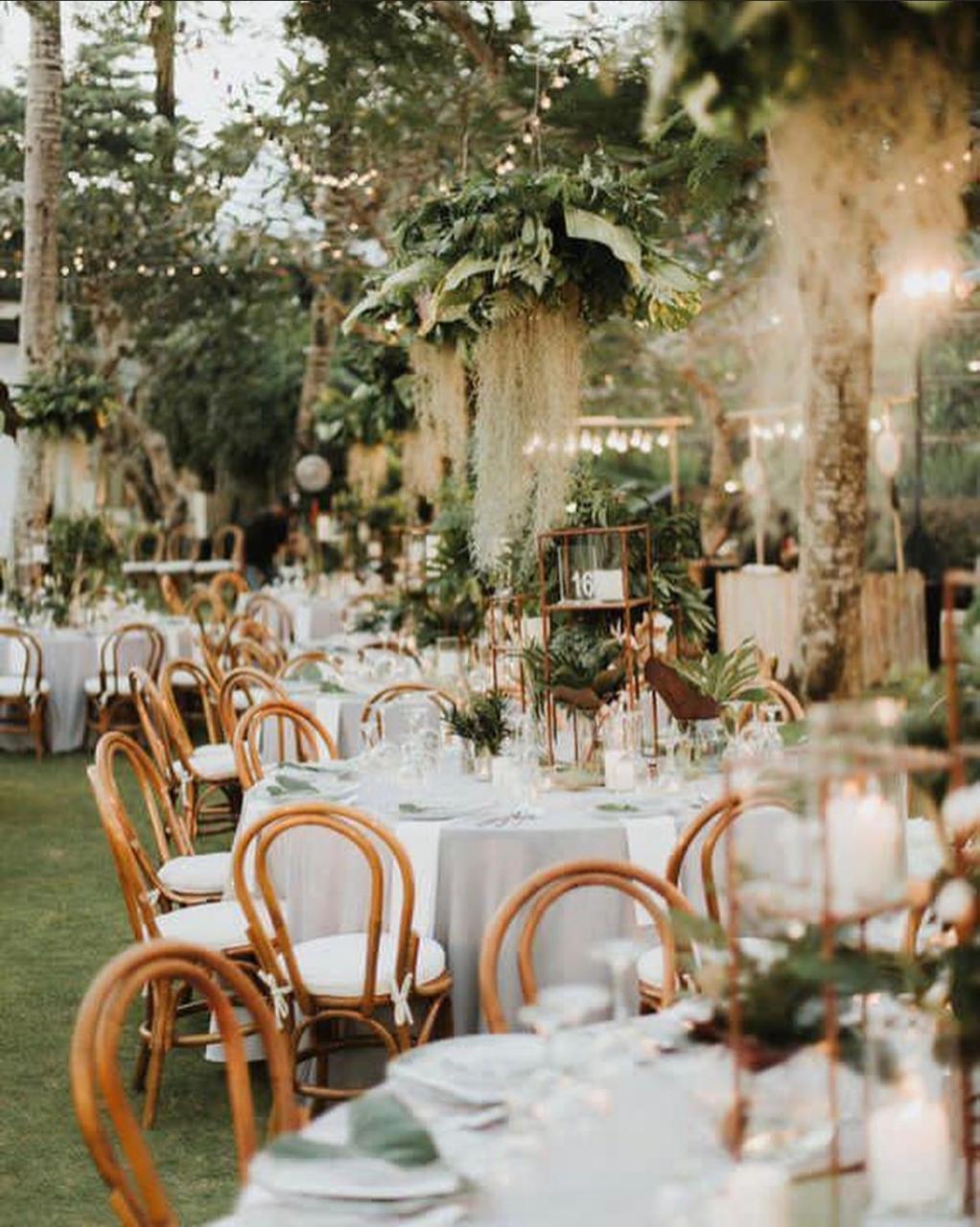 الاء منظمة حفلات