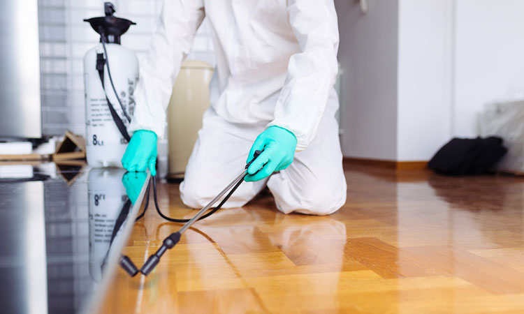 النصر لمكافحة الحشرات