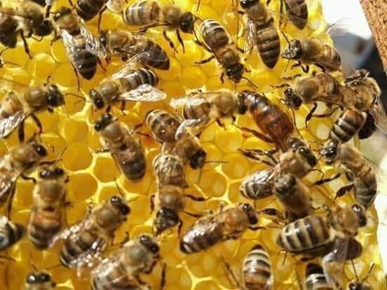 105050034_124032519346708_3997150360599739060_n