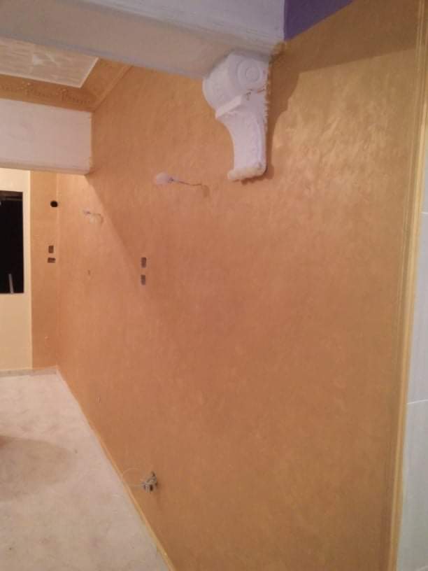 اسامه محمود نقاش