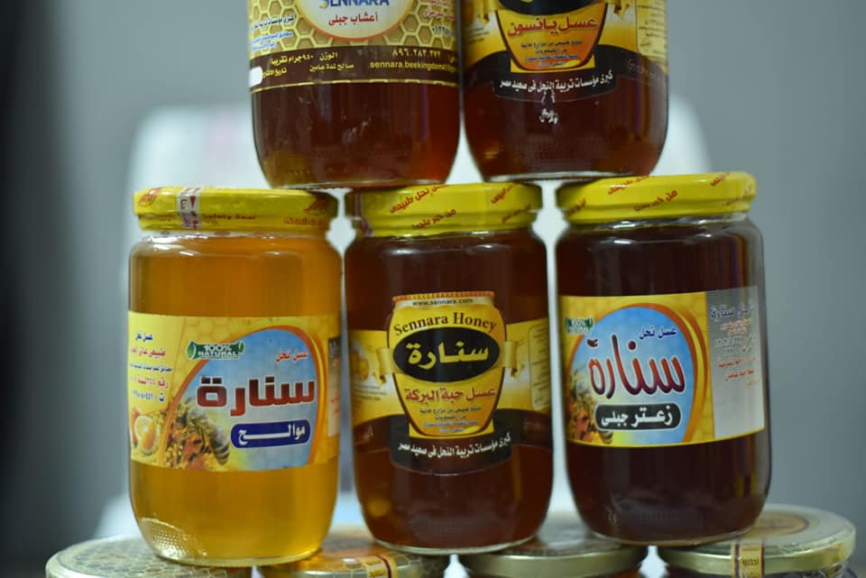 136724987_1936981609773110_5683929940289800635_n