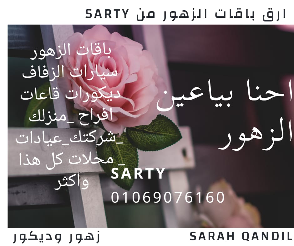 Sarty Group